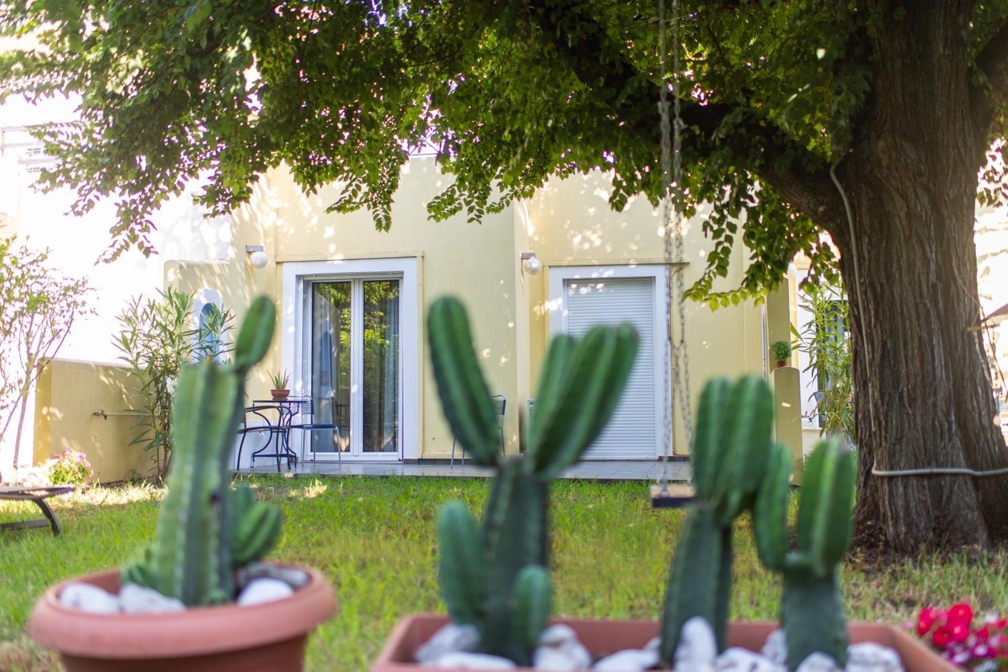 Elaionas  Amarylis Apartments المظهر الخارجي الصورة